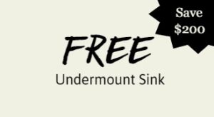 free Undermount Sink